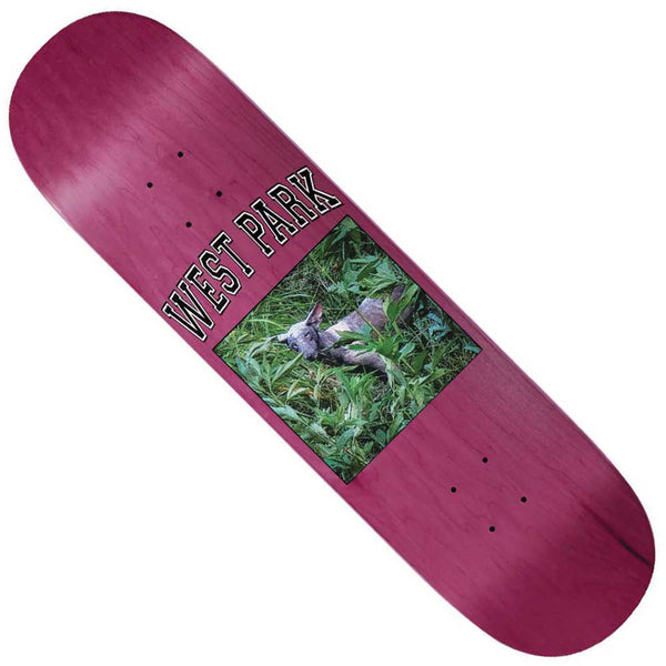 Angel-Aaron-Loreth-Assorted-