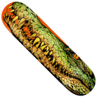 Showcasing intricate artwork of a crocodile’s open mouth lined with sharp yellow teeth and textured green scales, the Zion Swamp Puppy 8.28x31.7 Heavyweight Real Skateboard Deck makes a bold statement.